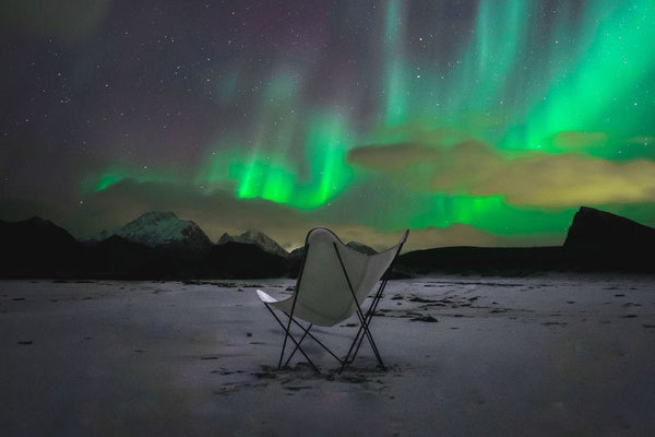 See the Northern Lights