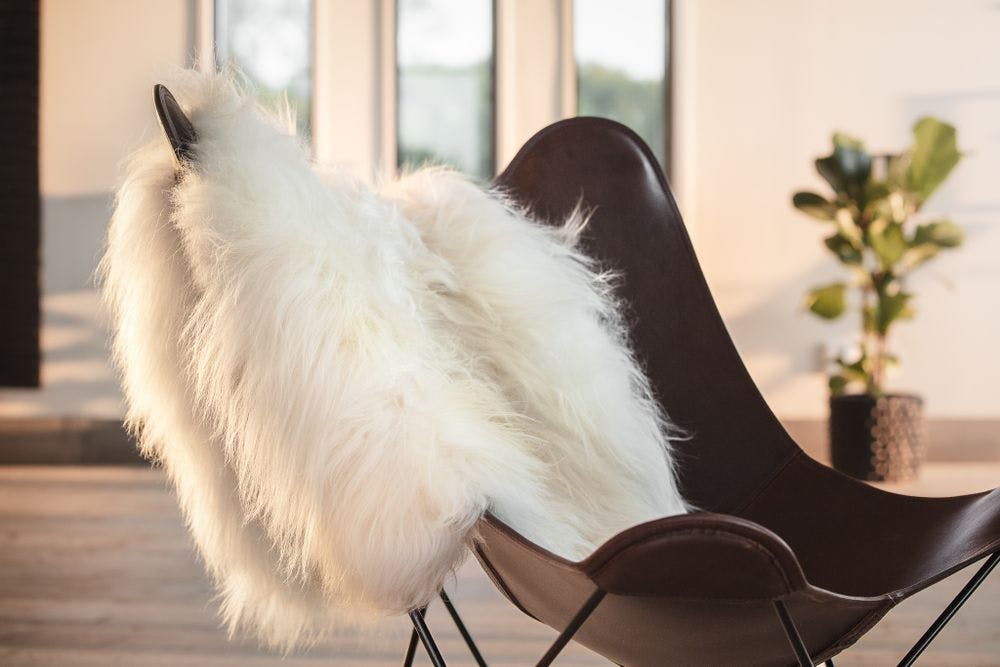 Icelandic sheepskin on chair